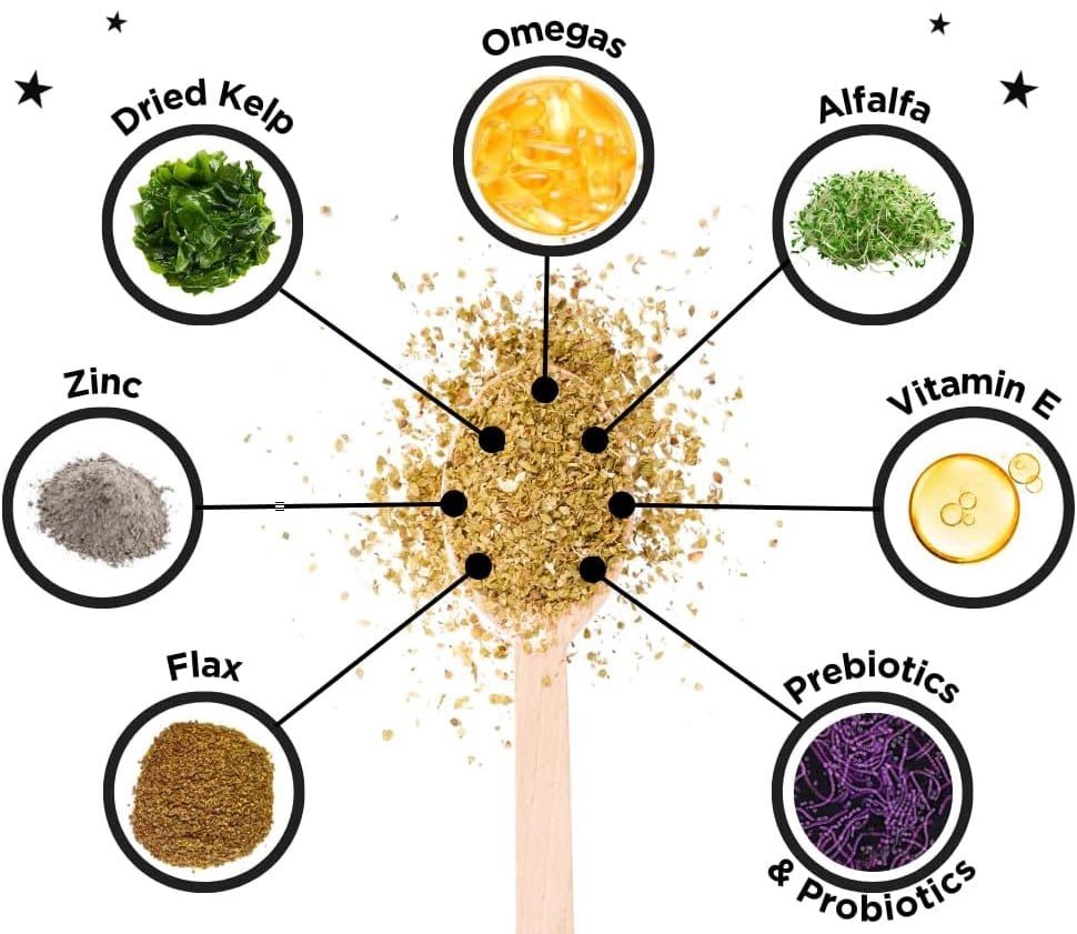 Dinovite Pet Supplements 13