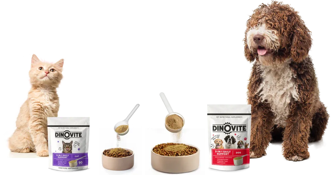buy Dinovite Pet Supplements